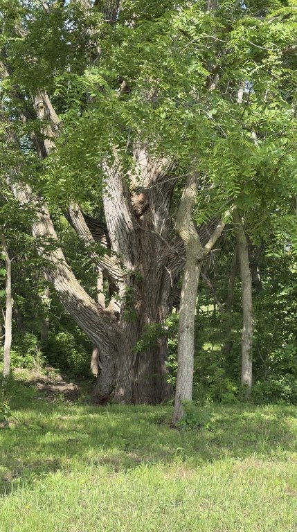 Picture 11