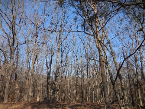 Land in Fairfield Glade