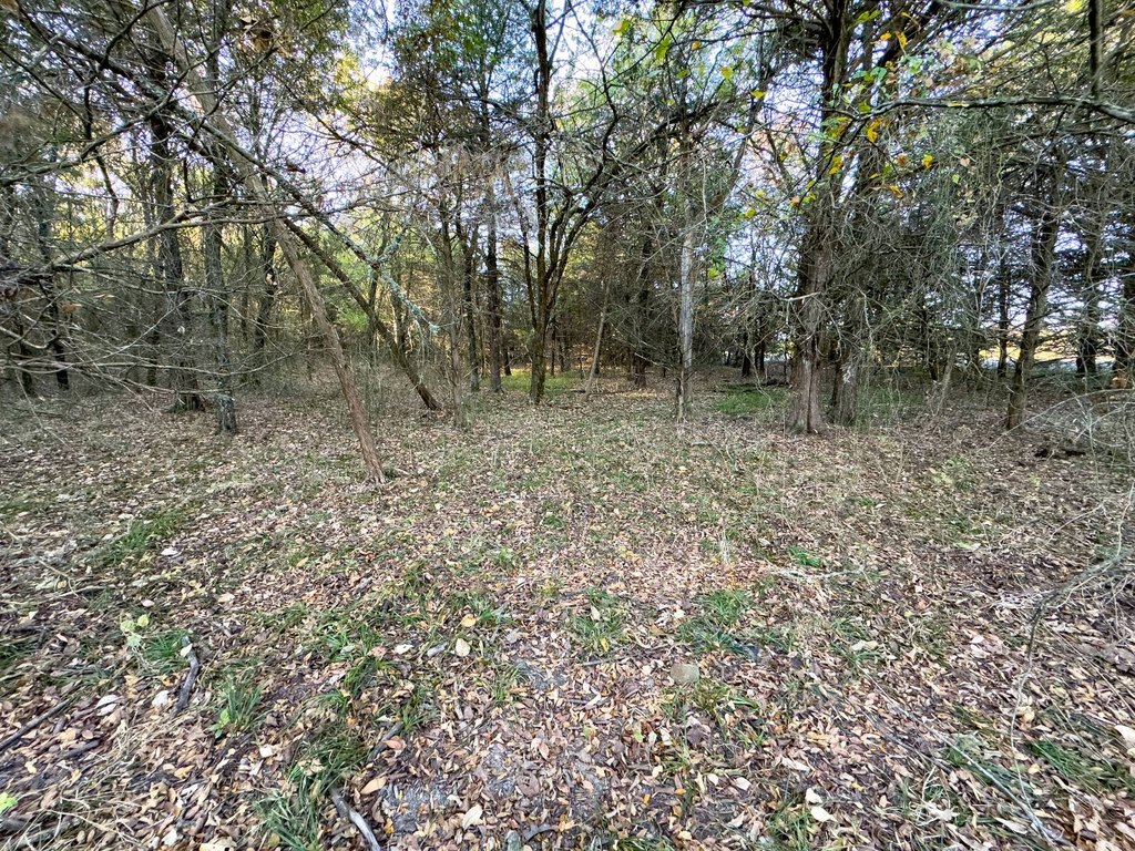 Picture 42