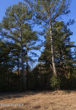 LAND - Littleton, NC