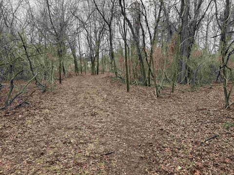 Hammonton Land for Agricultural Use