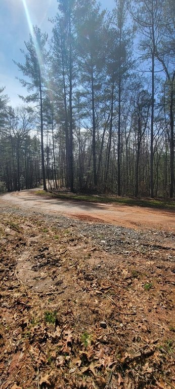 Picture 3
