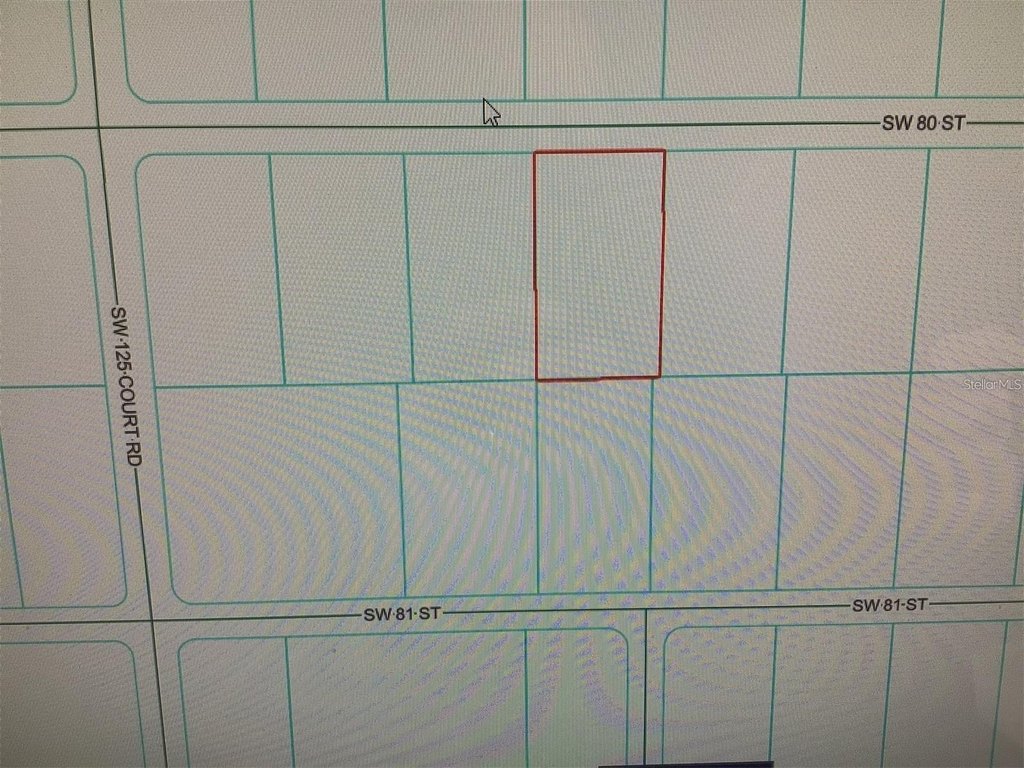 Picture 4