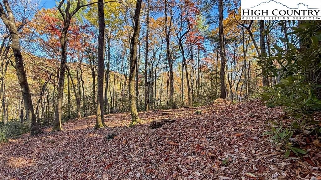 Picture 24