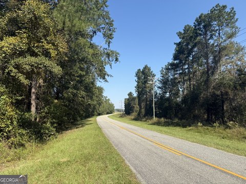 Land, Arlington, GA