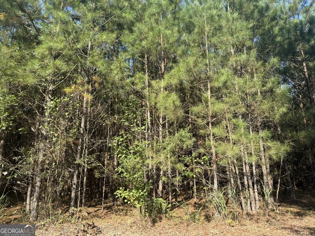 Picture 6