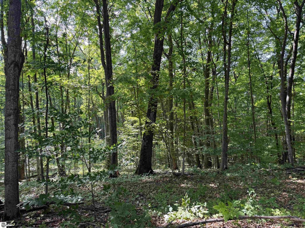 Picture 27