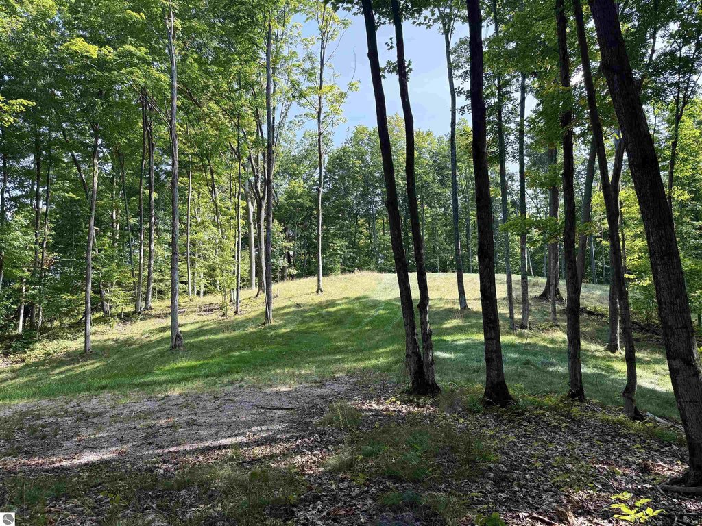 Picture 20