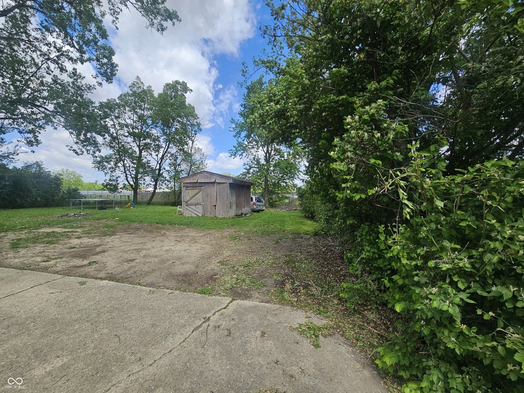 Picture 4