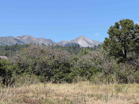 LAND - Hesperus, CO