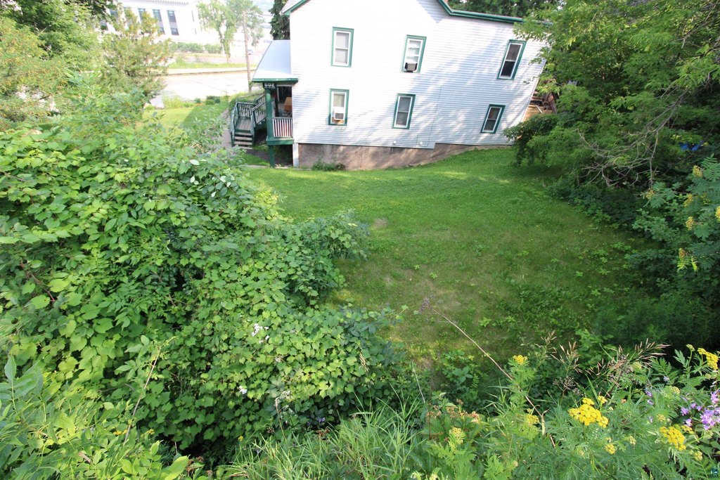 Picture 15