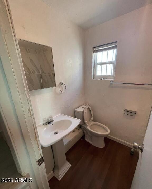 Picture 16