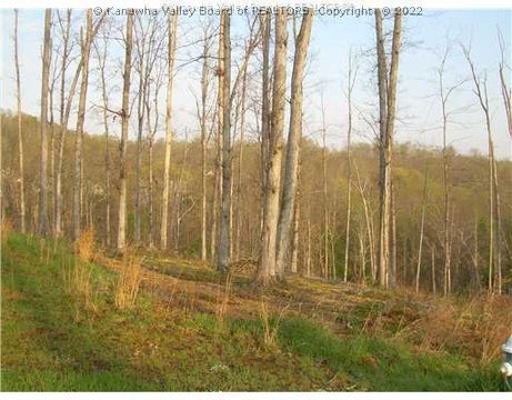 Residential Land in Elkview, WV