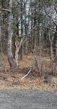 Land, Call Listing Agent, NY