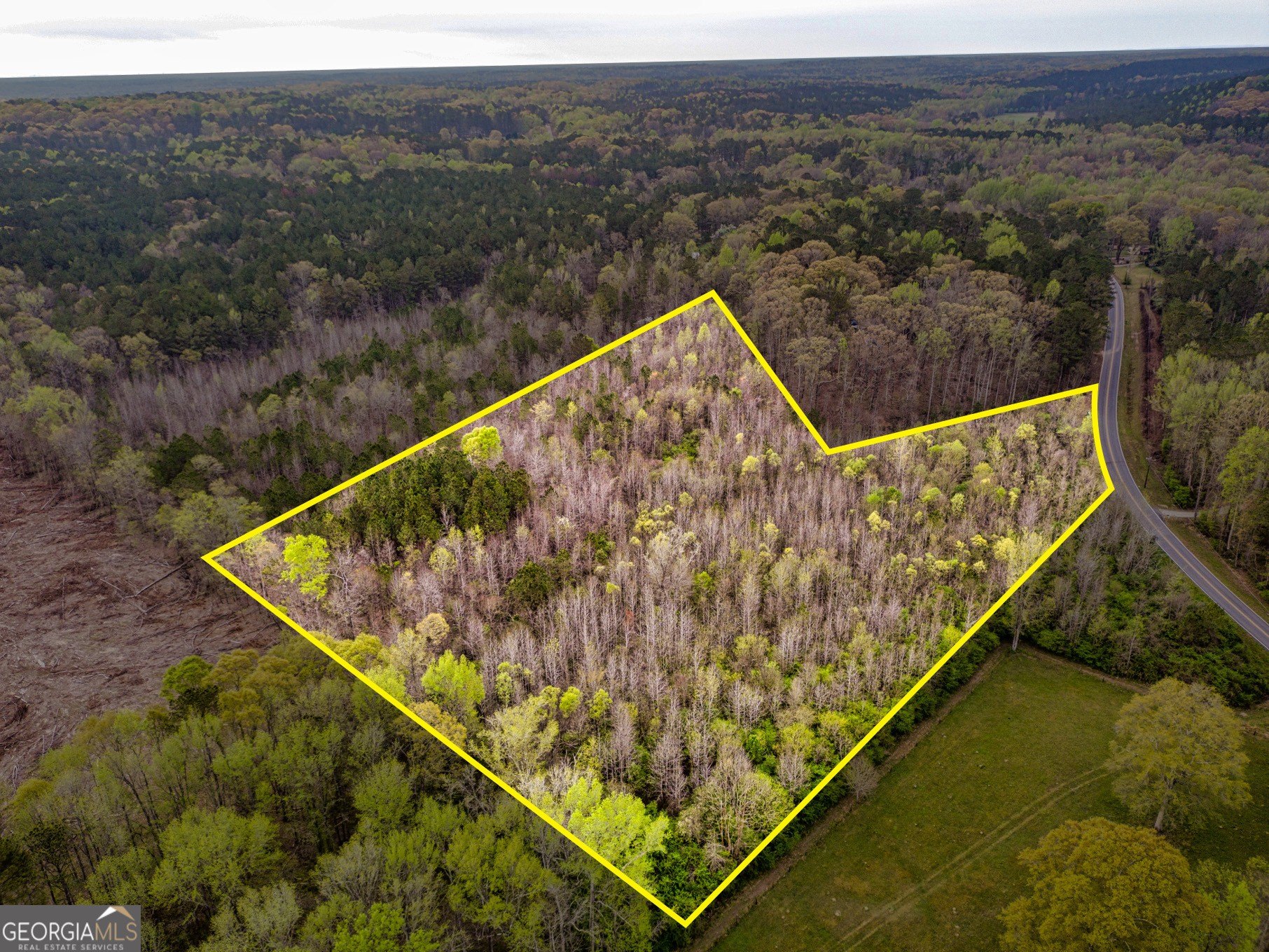 Scenic Newnan Homesite Opportunity
