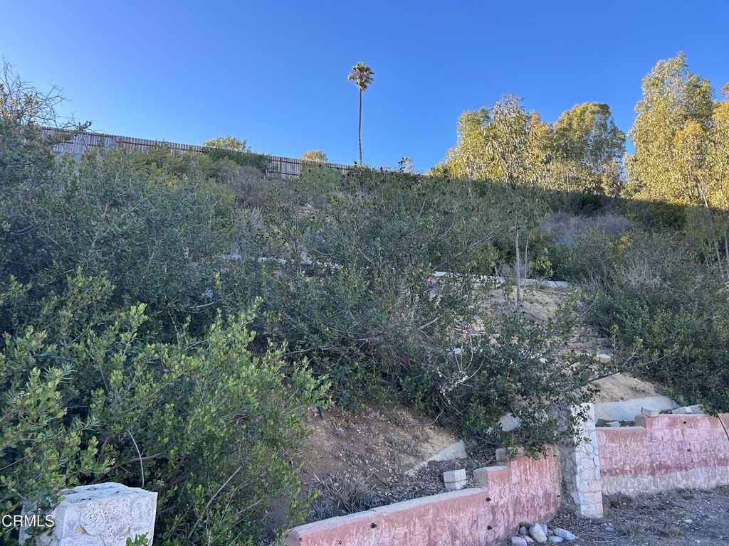 Picture 17
