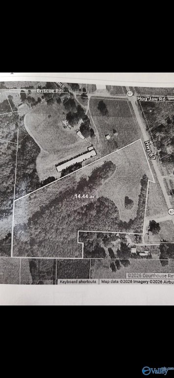 Picture 14