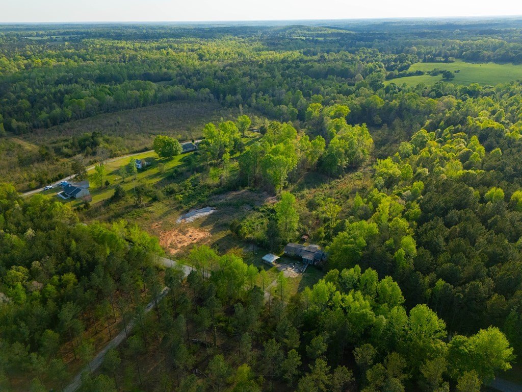 Picture 15