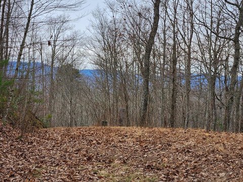 Mountain View Lot in Franklin