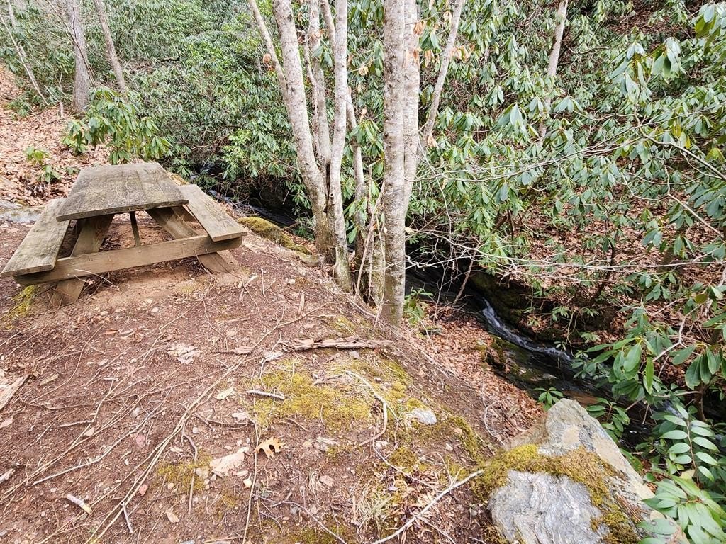 Picture 19