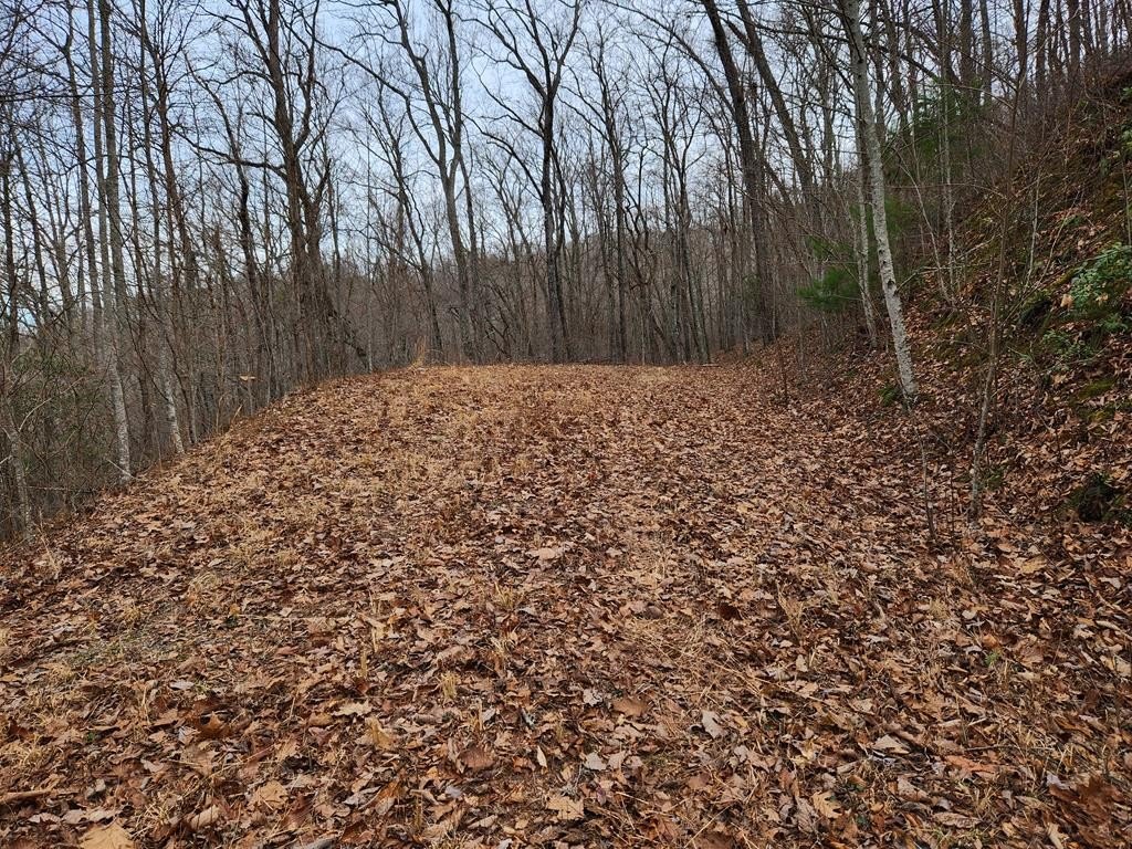 Picture 4