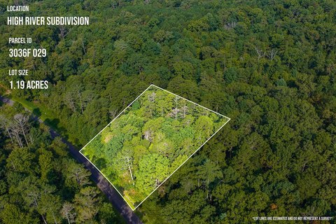 Vacant Lot, Ellijay, GA