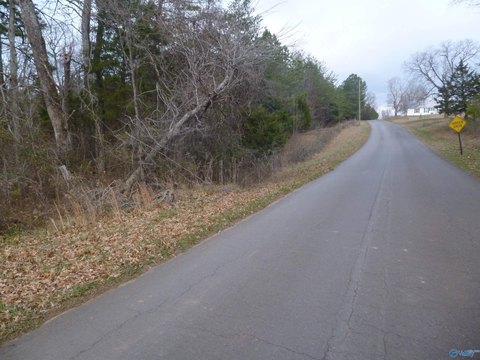 Fort Payne Industrial Land Available