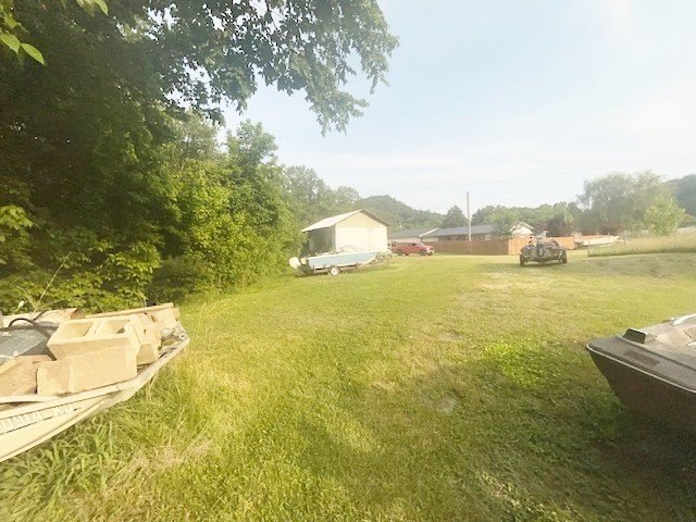 Picture 10