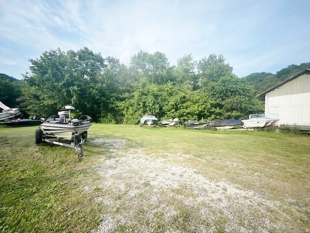 Picture 5