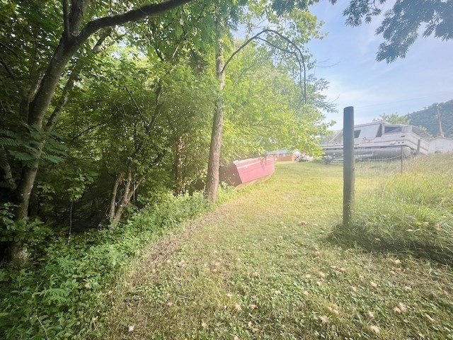 Picture 9