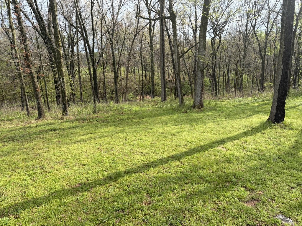 Picture 5