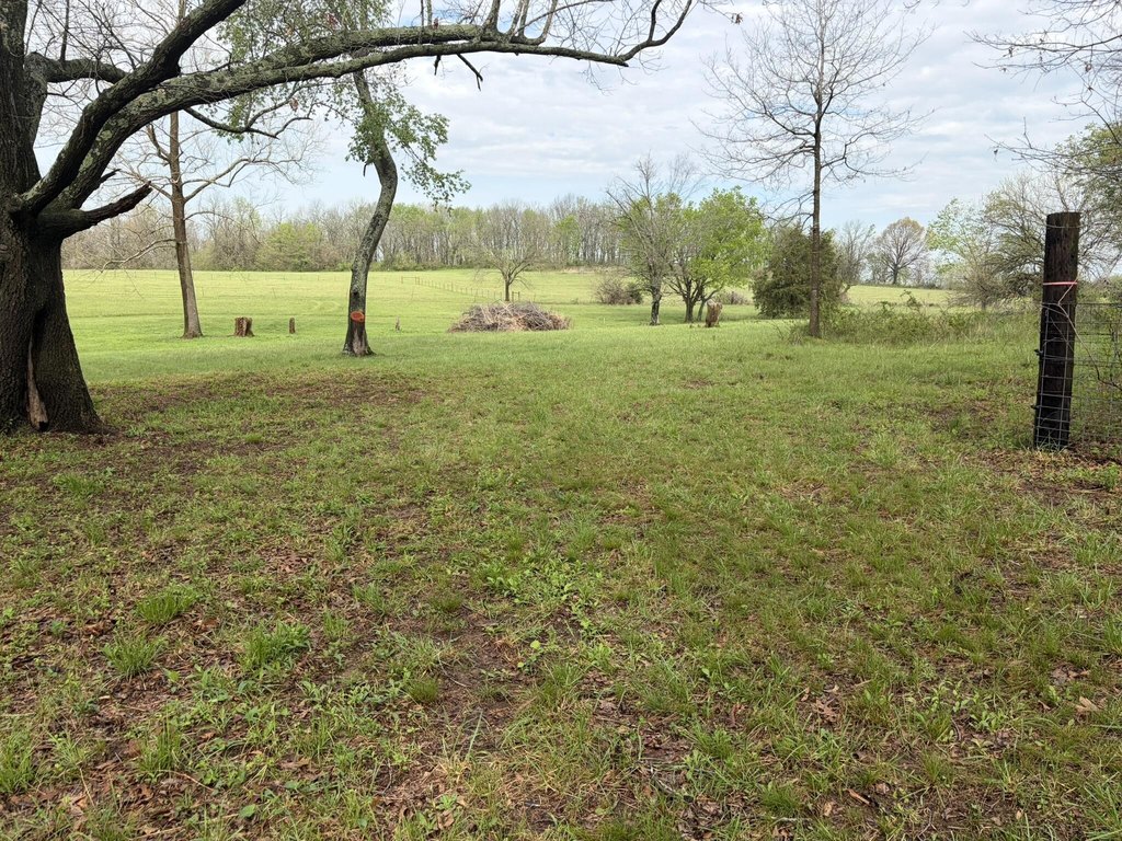 Picture 12