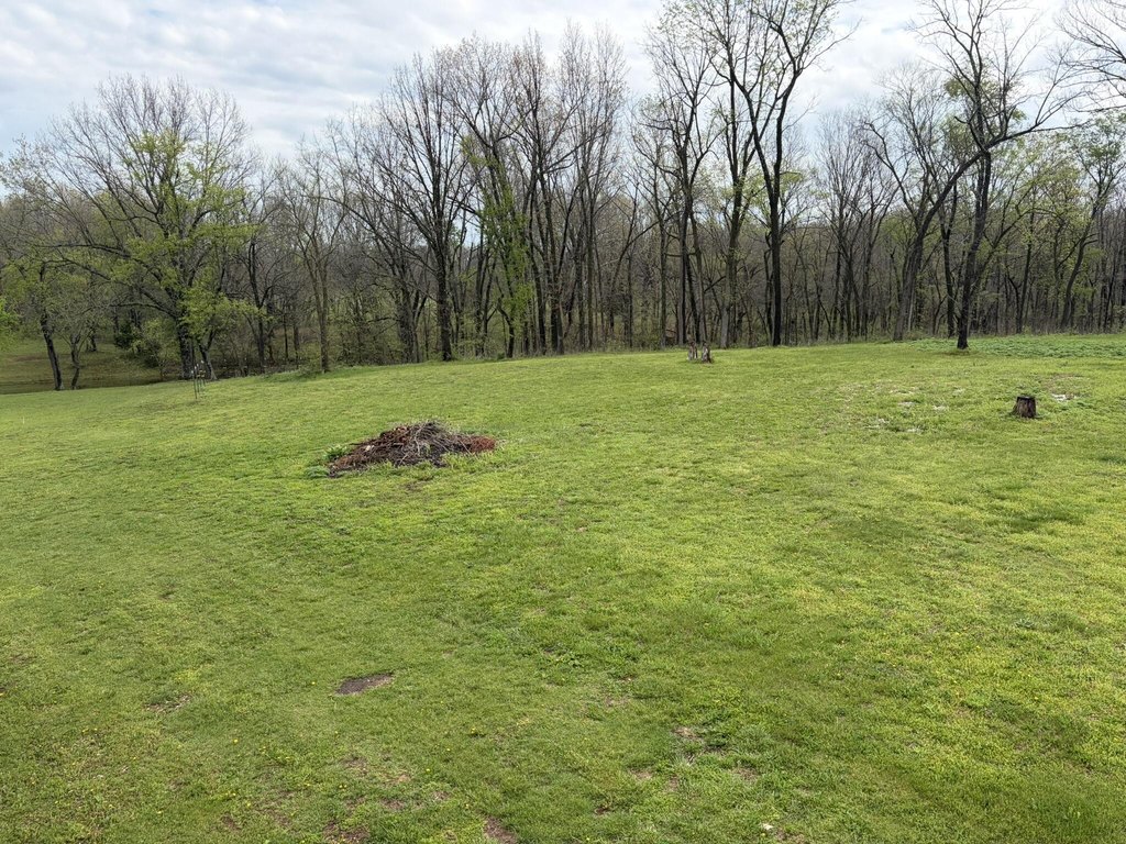 Picture 16