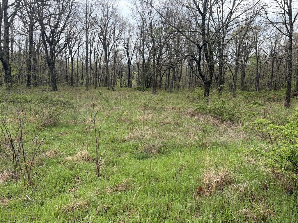 Picture 10