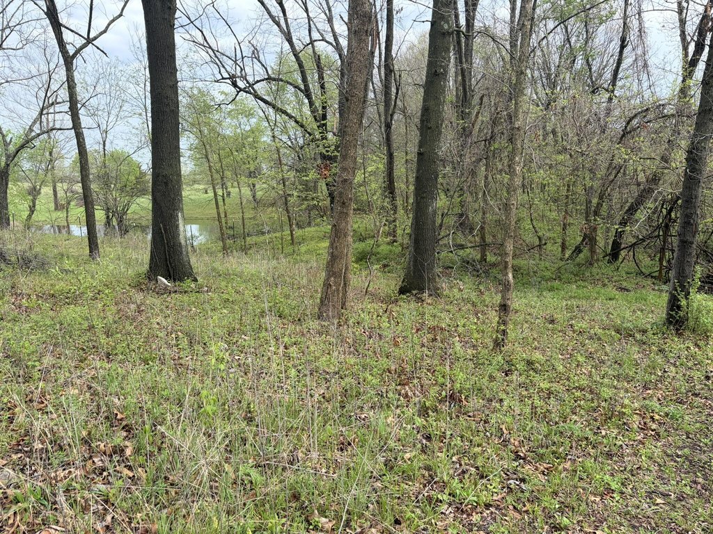 Picture 14