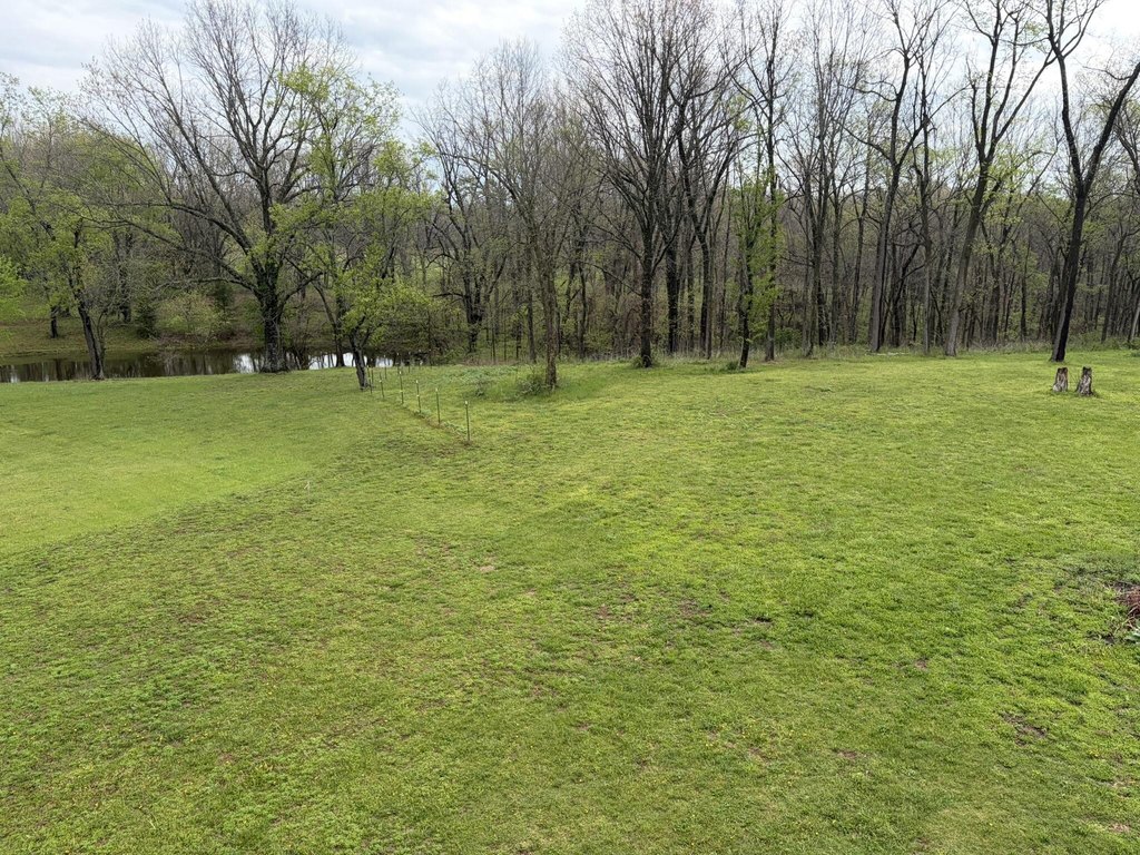 Picture 17
