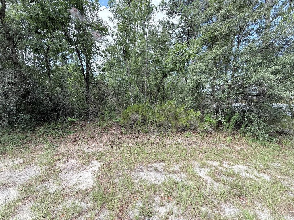 Picture 2