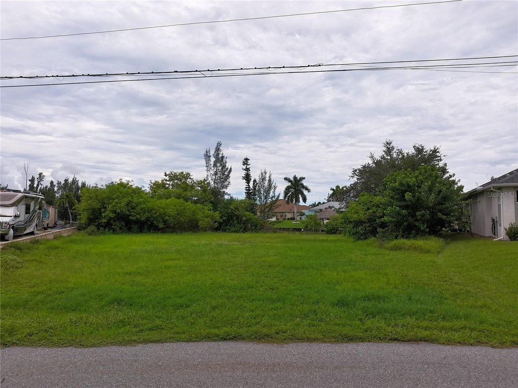 Picture 5
