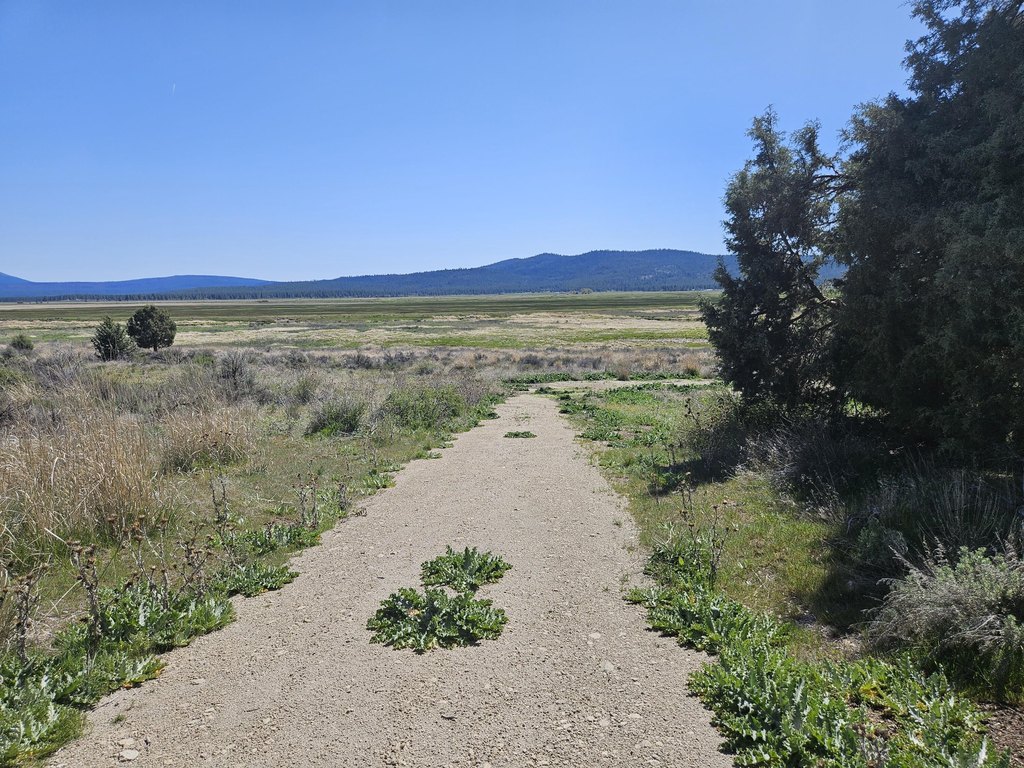 Picture 4
