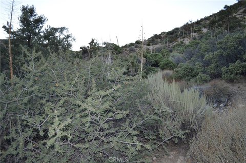 Land, Pinon Hills, CA