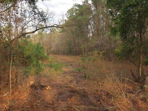 9+ Acre Land with Utilities