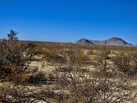 Terlingua, TX Land Opportunity