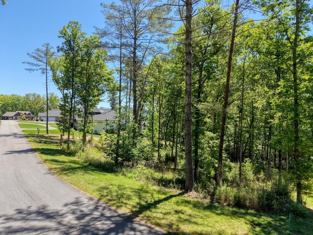 Blairsville Vacant Lot in Highlands