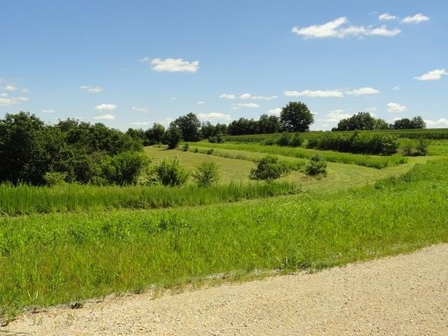 Picture 14