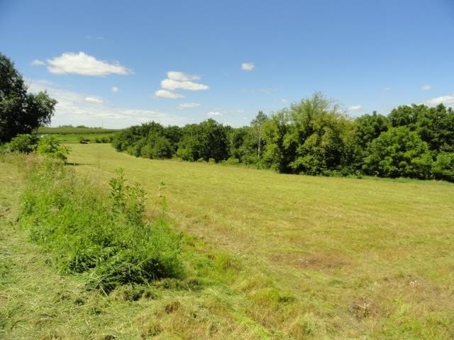 Picture 26