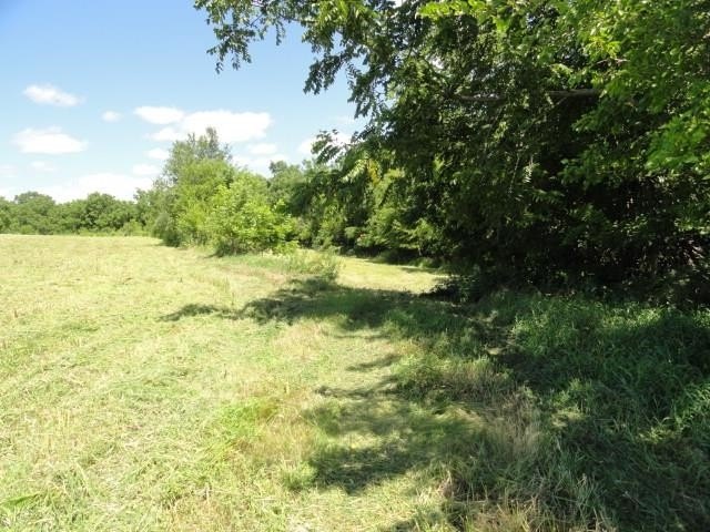 Picture 34