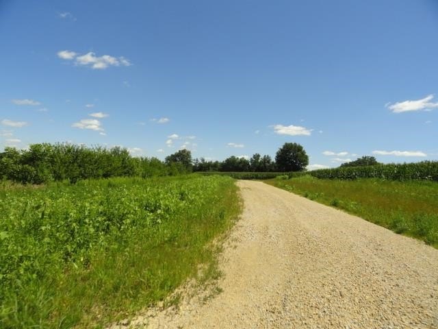 Picture 16