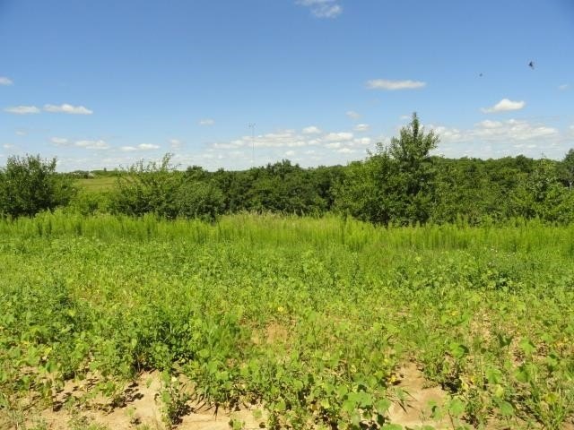Picture 20