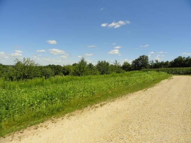 Picture 17
