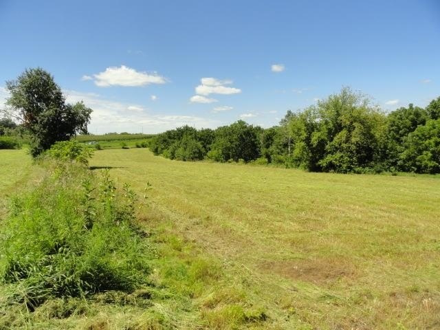 Picture 27